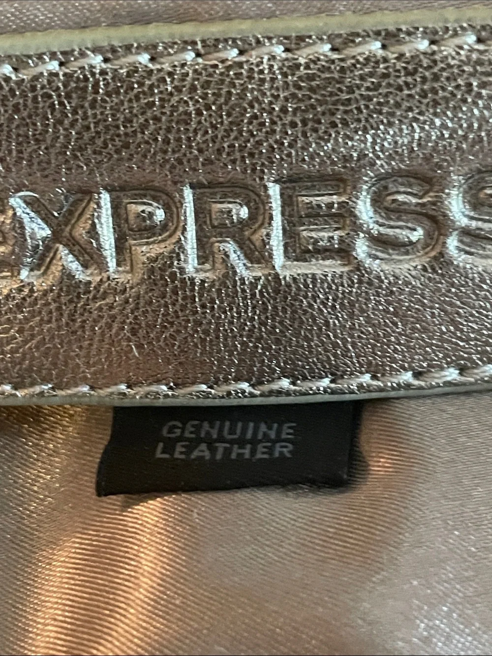 Express Metallic Leather Silver Frame Clutch